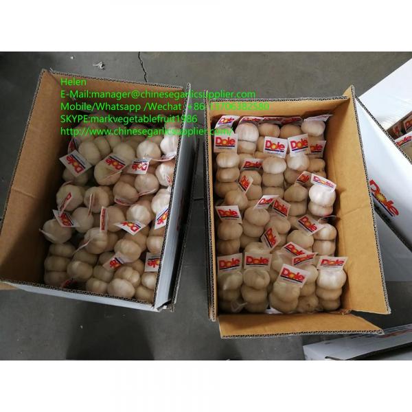 Top quality pure garlic with small meshabg package to Japan market #1 image