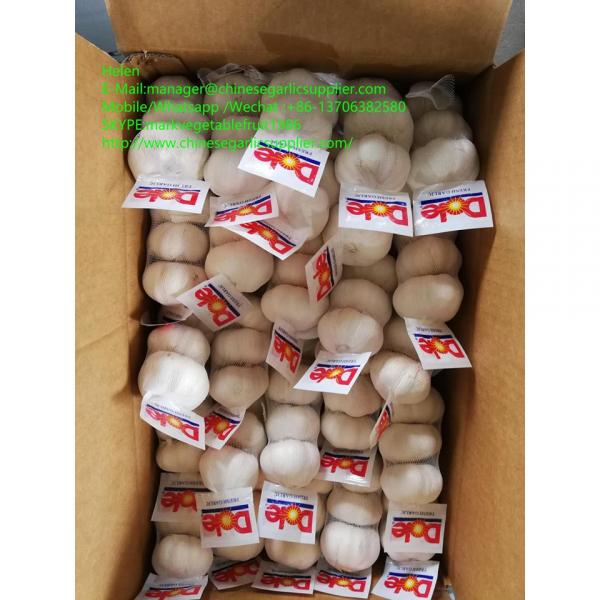 Top quality pure garlic with small meshabg package to Japan market #4 image