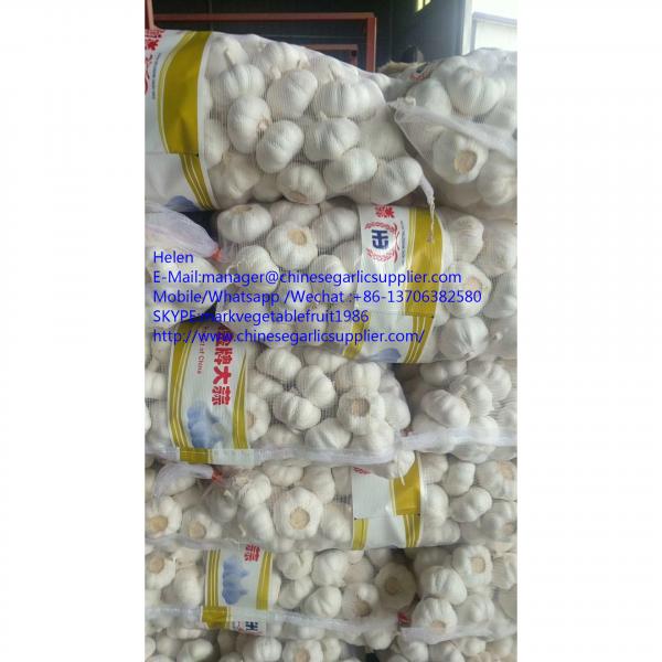 super quality pure white garlic with meshabg package #1 image