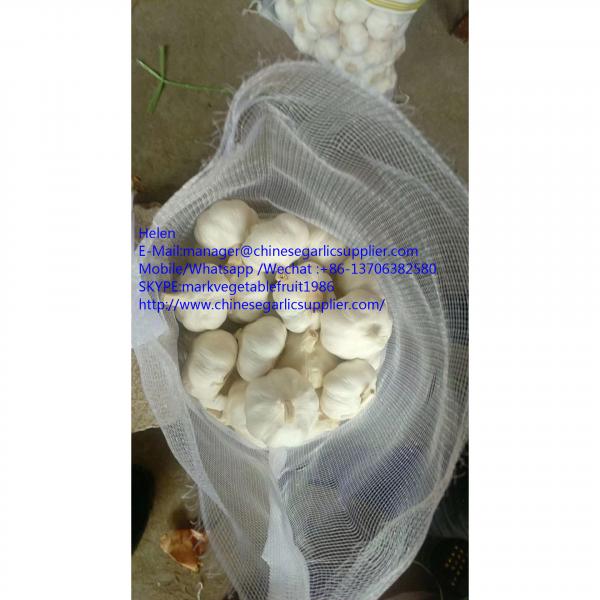 super quality pure white garlic with meshabg package #3 image