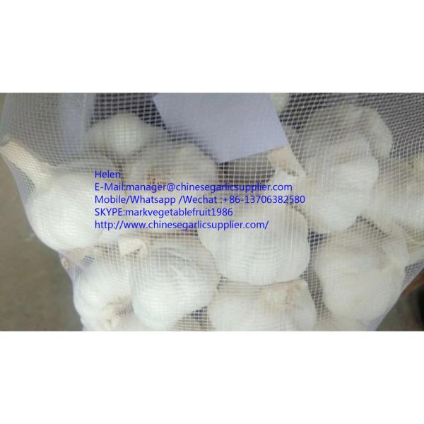 super quality pure white garlic with meshabg package #4 image