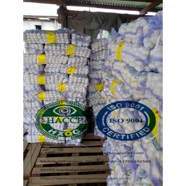 Our Garlic products arrived at south sudan #4 image