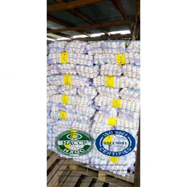 Our Garlic products arrived at south sudan #6 image
