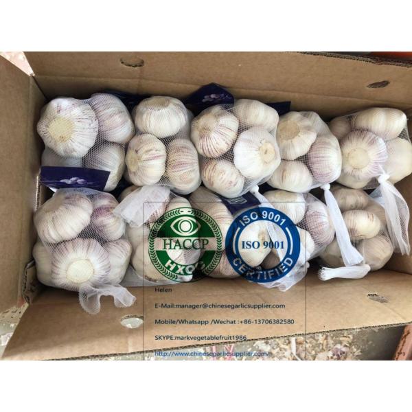 tube meshbag packed China normal garlic are exported to Latin America market #4 image