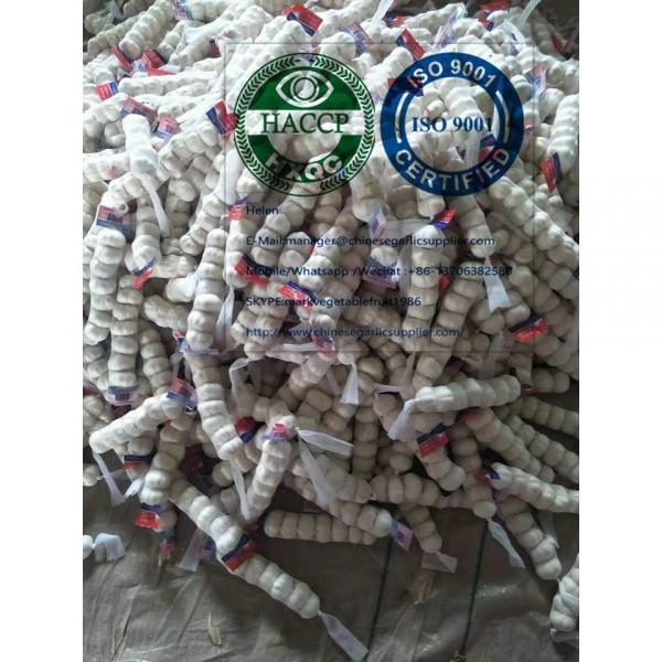 China pure white garlic with tube package are exported to Nicaragua market #2 image