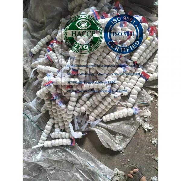 China pure white garlic with tube package are exported to Nicaragua market #5 image