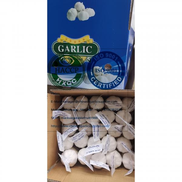 China pure white garlic with tube and carton package for Iraq market. #4 image