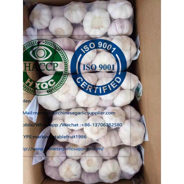 Fresh normal white garlic are exported to  Ghana market from china #1 image