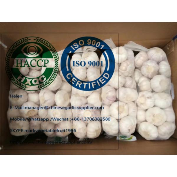 Fresh normal white garlic are exported to  Ghana market from china #5 image