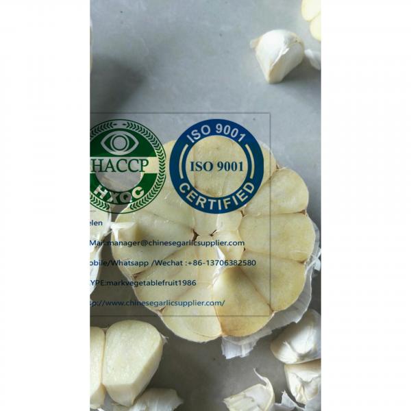 China normal white garlic to Ghana market #4 image