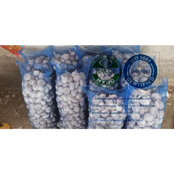 China normal white garlic with meshbag package to Dominica market #6 image