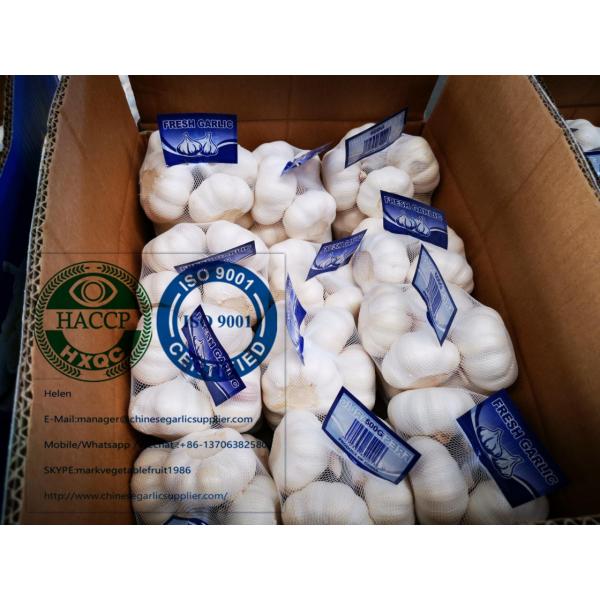 Top quality china pure white garlic are exported to Holland market #4 image
