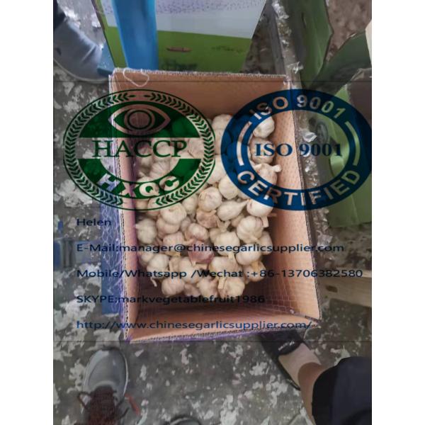 10KG Loose carton Normal white garlic are exported to Africa market from china #2 image