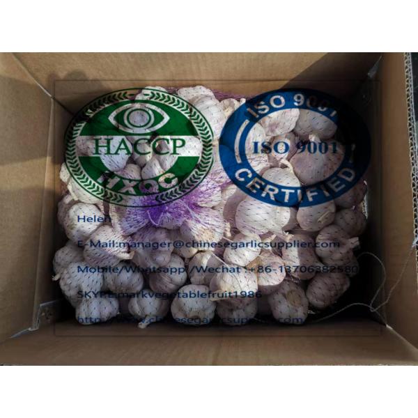 10KG Loose carton Normal white garlic are exported to Africa market from china #3 image
