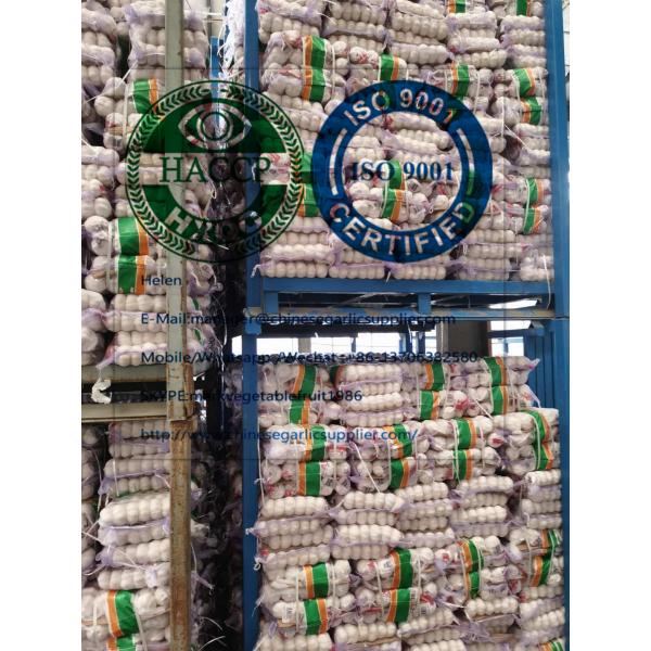 Top Quality pure white garlic with tube meshbag package to Lebanon market #4 image