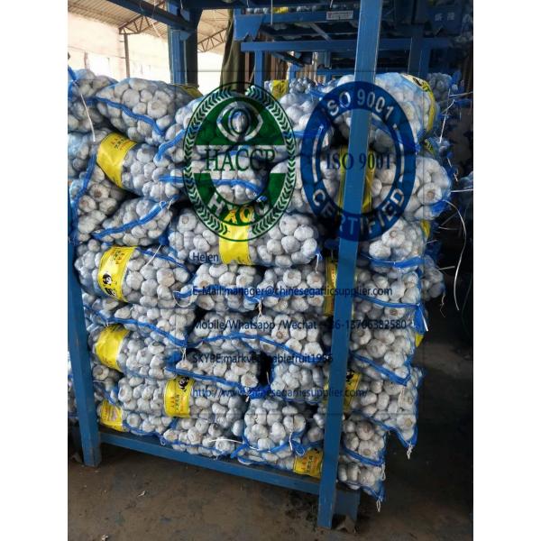 6.0-6.5cm pure white garlic with 10kg mesh bag To turkey market from china garlic factory #1 image