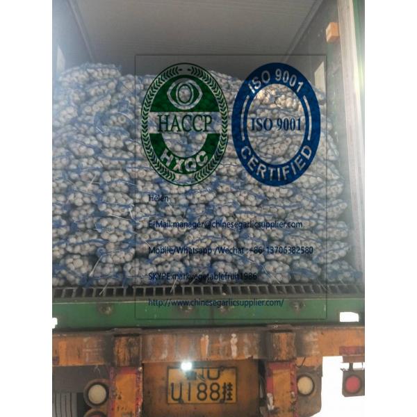 6.0-6.5cm pure white garlic with 10kg mesh bag To turkey market from china garlic factory #3 image