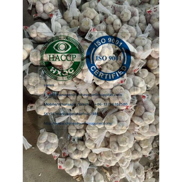 Normal white garlic with carton to EU market from china #3 image