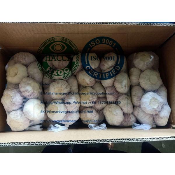 China top quality Normal white garlic with carton package to EU market #2 image