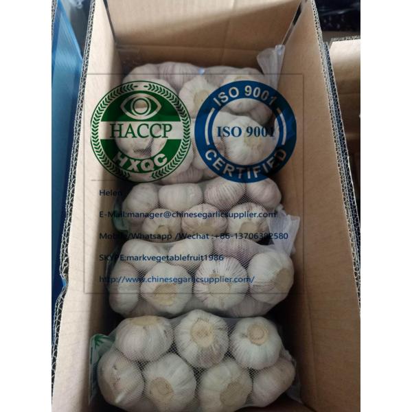 Normal white garlic with carton to EU market from china #1 image