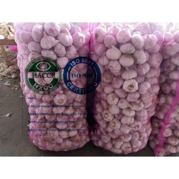 Normal white garlic with meshbag package to Latin America market #2 image