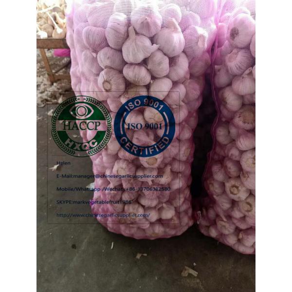 China Normal white garlic with meshbag package to Latin America market #1 image