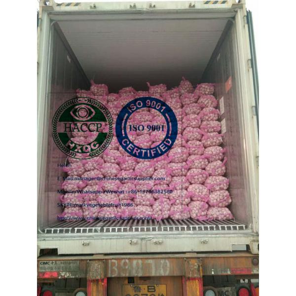 China Normal white garlic with meshbag package to Latin America market #3 image