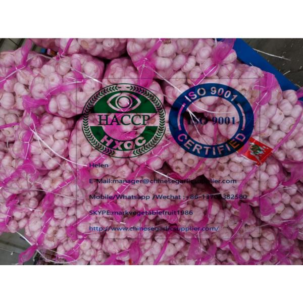 (6.0-6.5cm)  china pure white garlic to Turkey Market #1 image