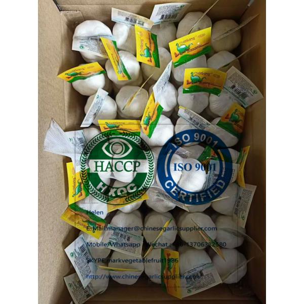 Pure white garlic with Tube meshbag & Carton package for EU market #1 image