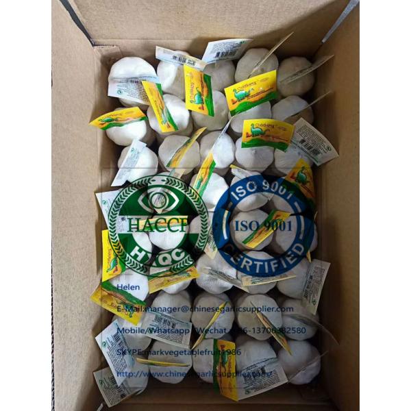 Pure white garlic with Tube meshbag & Carton package for EU market #3 image