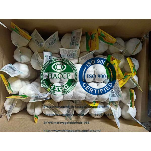 China Pure white garlic with tube package for EU market #1 image