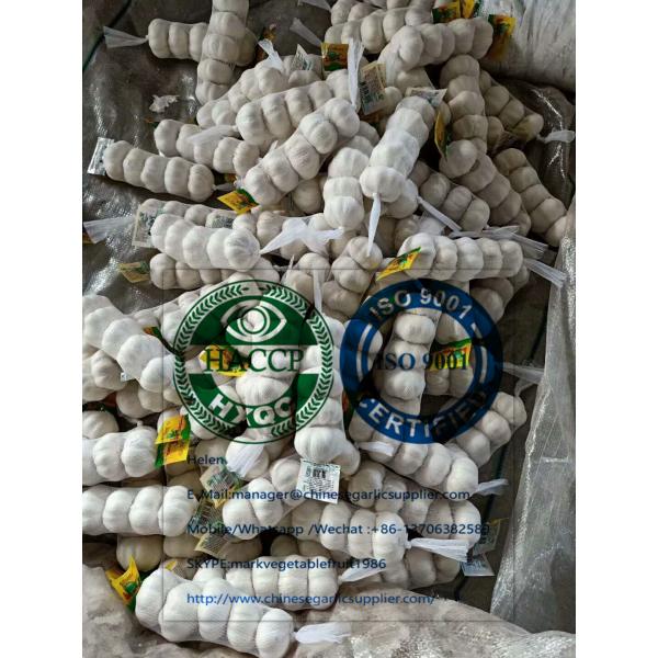 China Pure white garlic with tube package for EU market #2 image