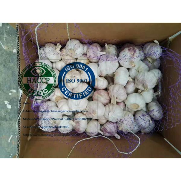 China Normal white garlic with 10KG loose carton to Brazil market. #2 image