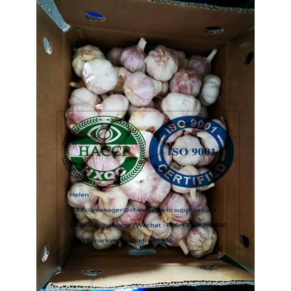 10KG loose carton  Normal white garlic to Singapore market. #3 image