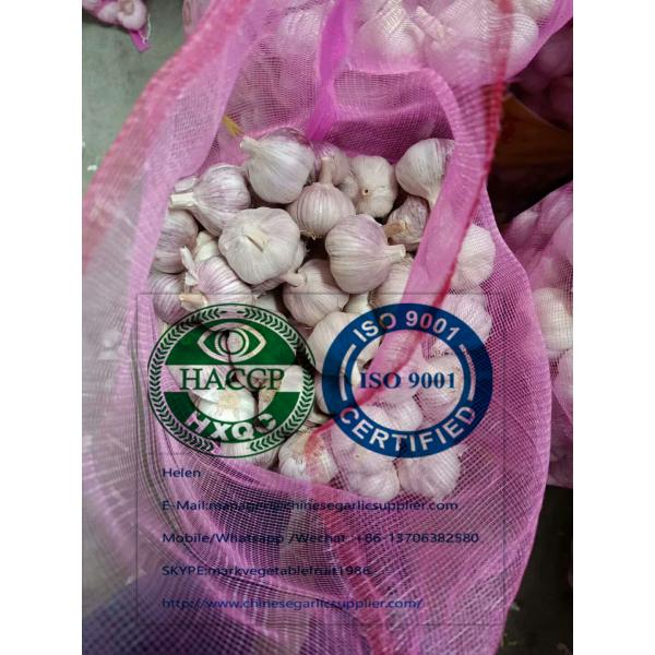 Normal white garlic with meshbag to Paraguay market. #1 image