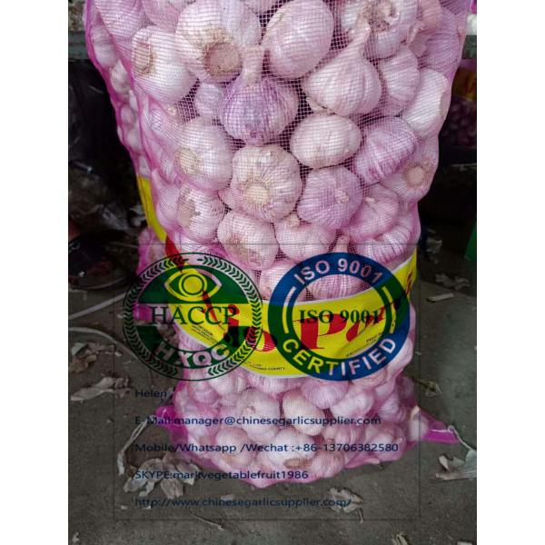 Normal white garlic with meshbag to Paraguay market. #2 image