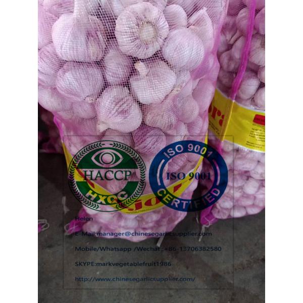China Normal white garlic with meshbag to Paraguay market #2 image