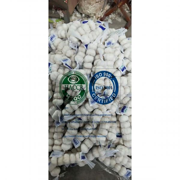 Pure white garlic with tube meshbag &Carton to Iraq market. #1 image