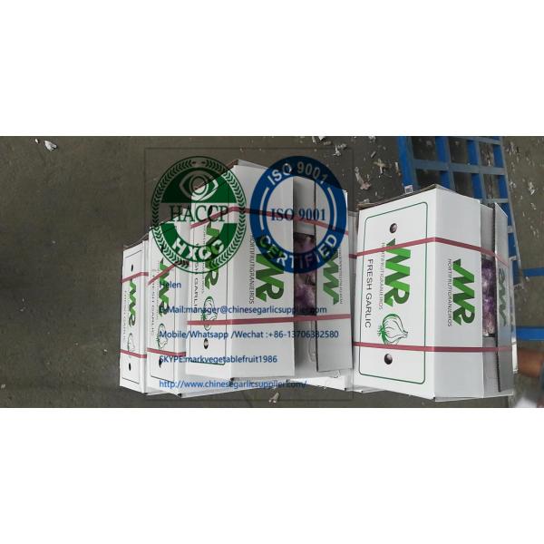 2020 new crop china garlic to Brazil marketwith 10KG loose carton package #3 image