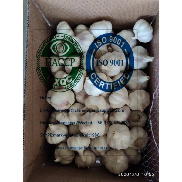 2020 new crop china garlic to Brazil marketwith 10KG loose carton package #1 image