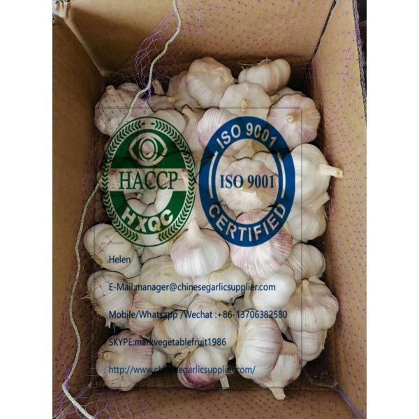 2020 new crop china garlic with 10 KG Loose carton package to Brazil market #2 image