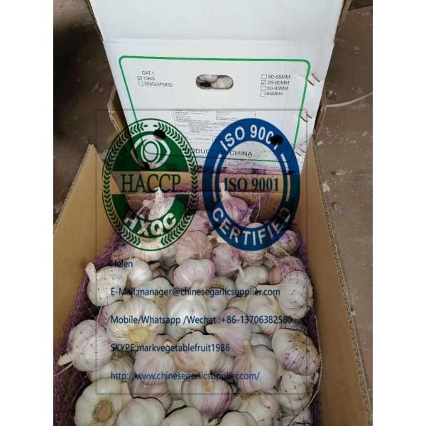 2020 new crop china garlic with 10 KG Loose carton package to Brazil market #3 image