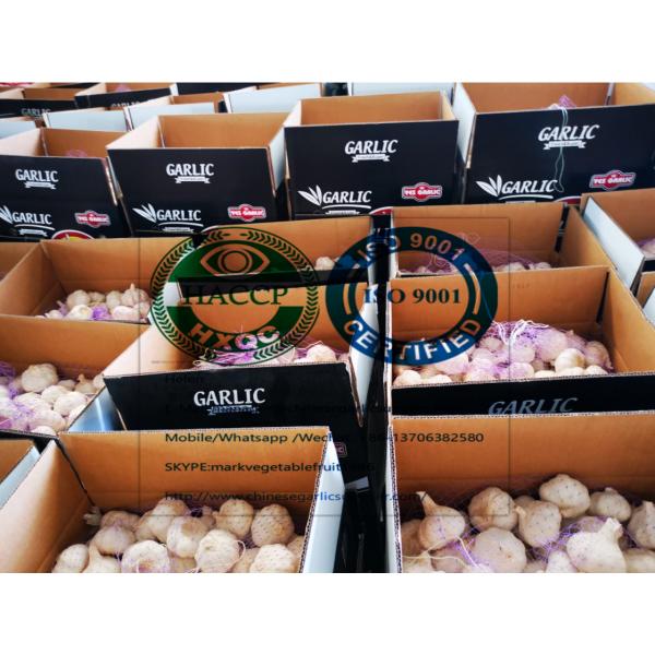2020 New Top quality China pure white garlic are ready for shipment . #2 image
