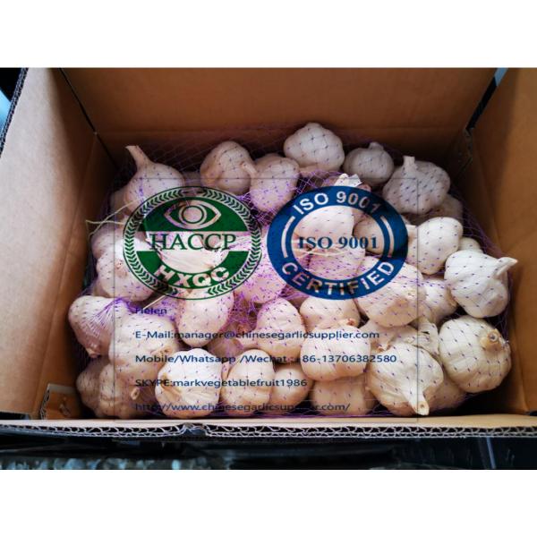 2020 New Top quality China pure white garlic are ready for shipment . #3 image