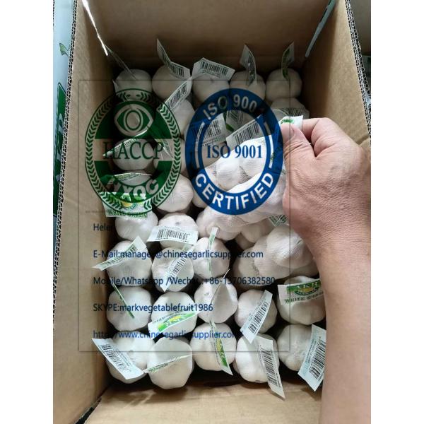 2020 new crop pure white garlic with tube meshbag & carton package to Turkey Market from china #1 image