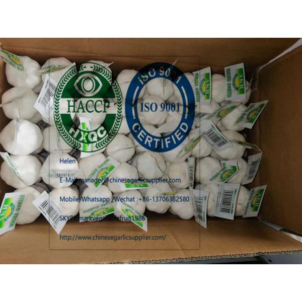 2020 new crop pure white garlic with tube meshbag & carton package to Turkey Market from china #2 image