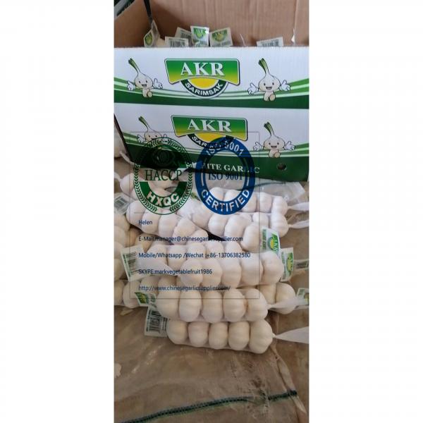 2020 new crop pure white garlic with tube meshbag & carton package to Turkey Market #2 image