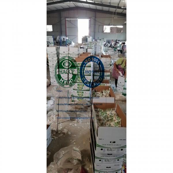 2020 new crop pure white garlic with tube meshbag & carton package to Turkey Market #3 image