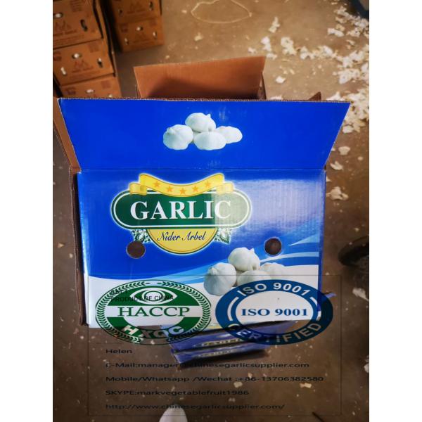 Pure white garlic with 5 kg carton package to Iraq Market #2 image