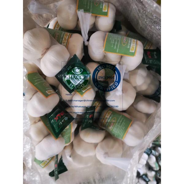 Pure white garlic with tube meshbag & carton package to Japan Market #1 image